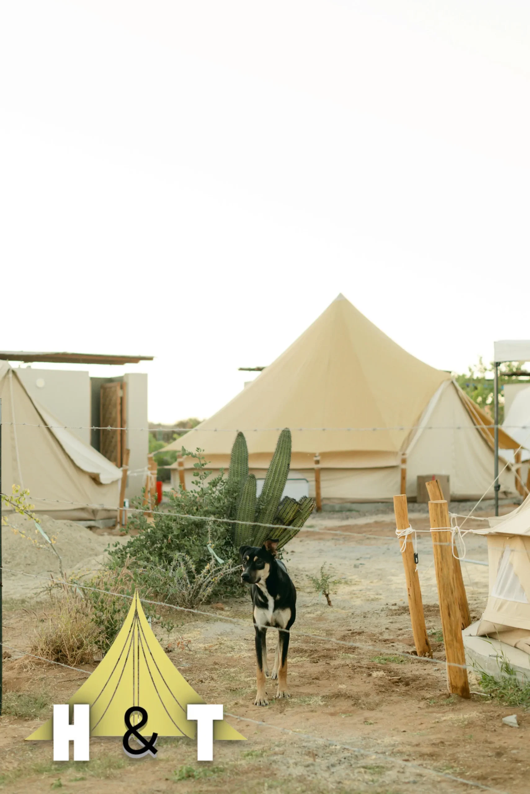 Dessert Tents - Image 3
